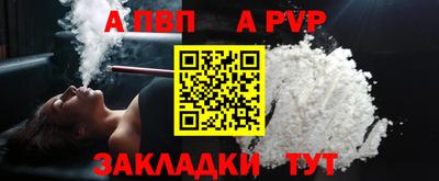 хмурый Кингисепп