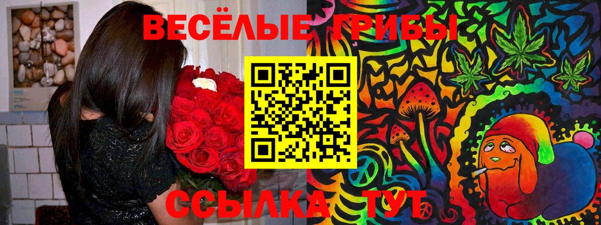 Галлюциногенные грибы Psilocybine cubensis Заволжье