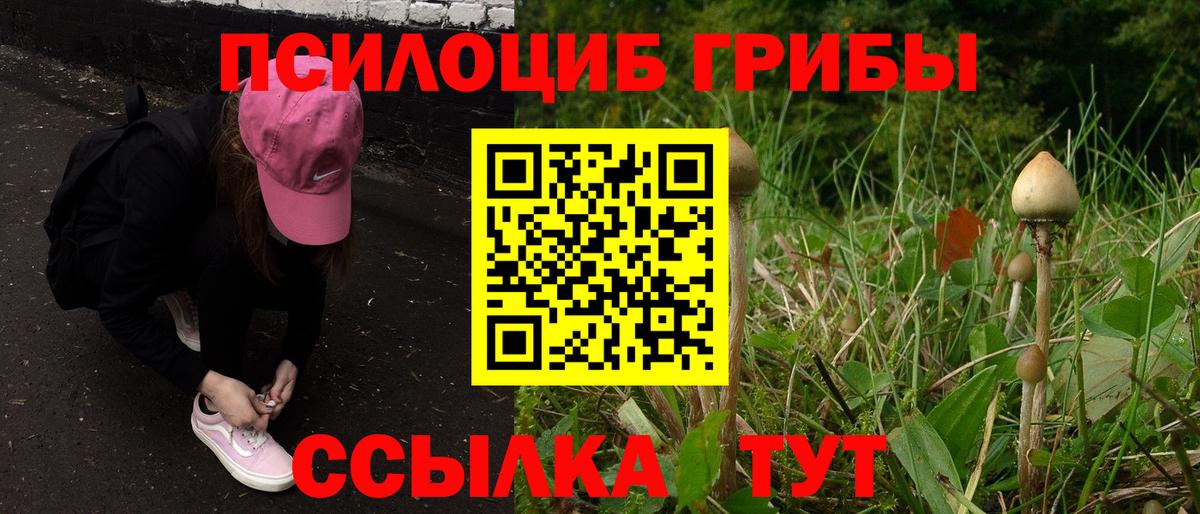 Заволжье  что такое   Вход с VPN  Галлюциногенные грибы мухоморы 